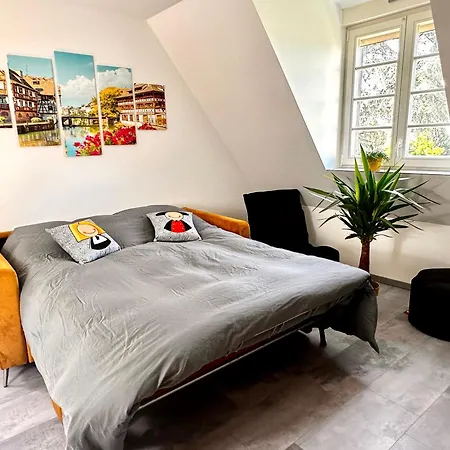 Apartment Duplex Confort Exceptionnel Hyper Centre Calme Sans Vis A Vis Parking Vue Jardin
