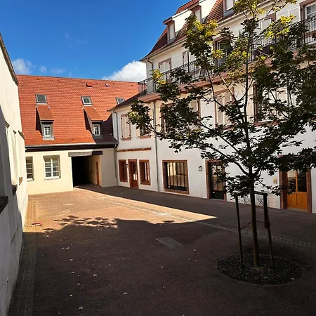 Duplex Confort Exceptionnel Hyper Centre Calme Sans Vis A Vis Parking Vue Jardin *