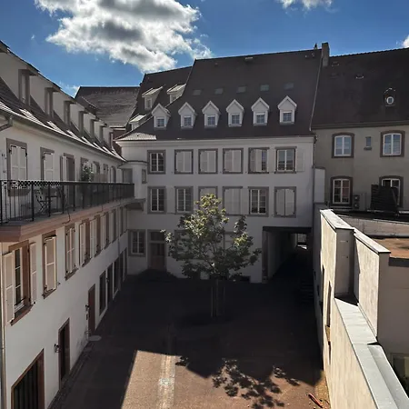 Duplex Confort Exceptionnel Hyper Centre Calme Sans Vis A Vis Parking Vue Jardin Apartment