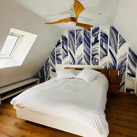 Apartment Duplex Confort Exceptionnel Hyper Centre Calme Sans Vis A Vis Parking Vue Jardin Haguenau