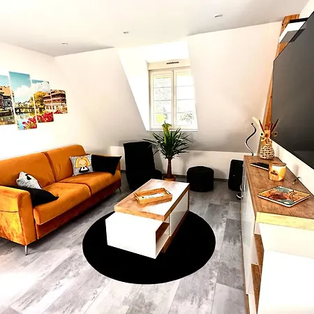 Duplex Confort Exceptionnel Hyper Centre Calme Sans Vis A Vis Parking Vue Jardin Haguenau